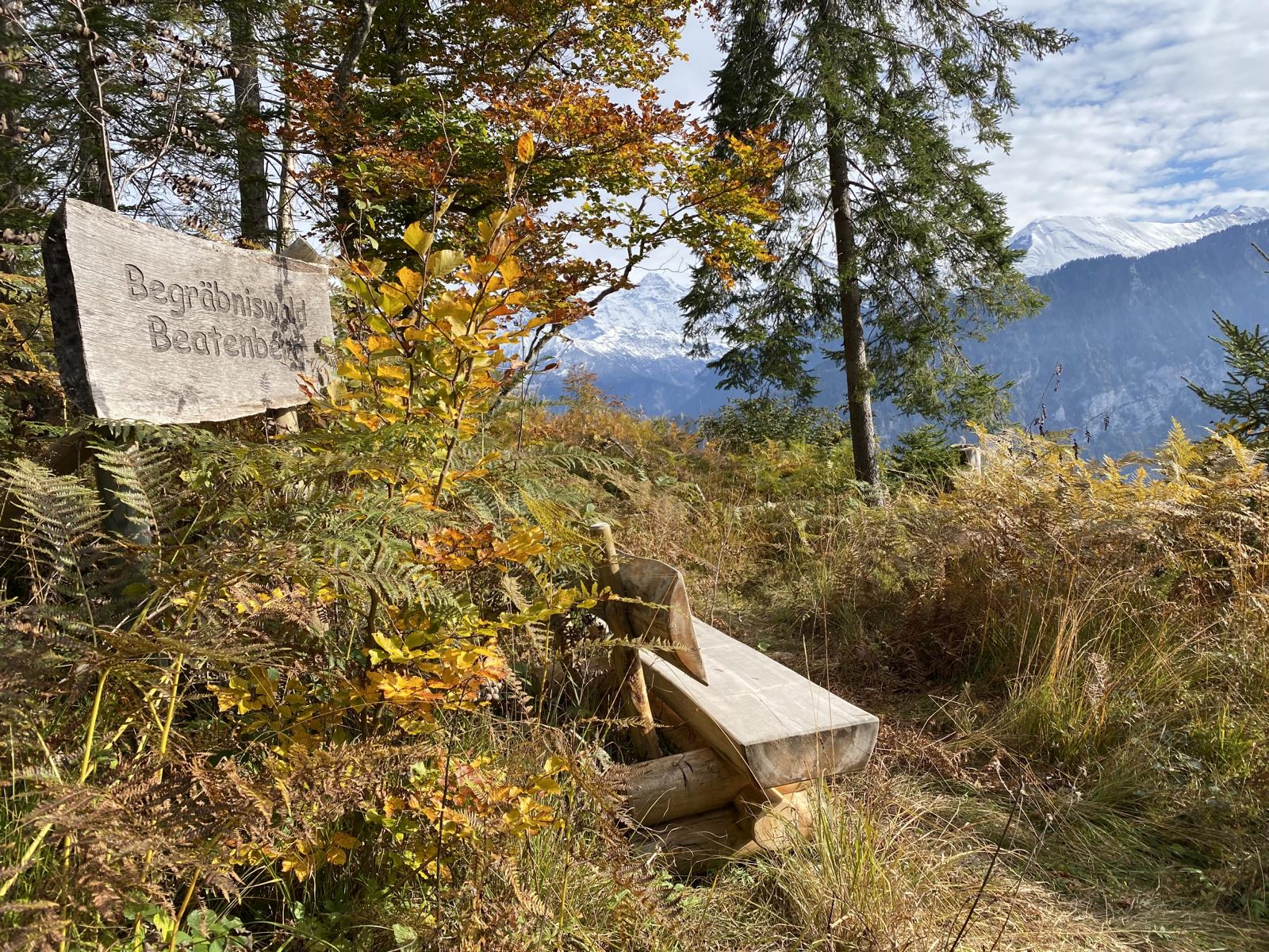 Begräbniswald — naturnahe Bestattung in der Oase der Ewigkeit