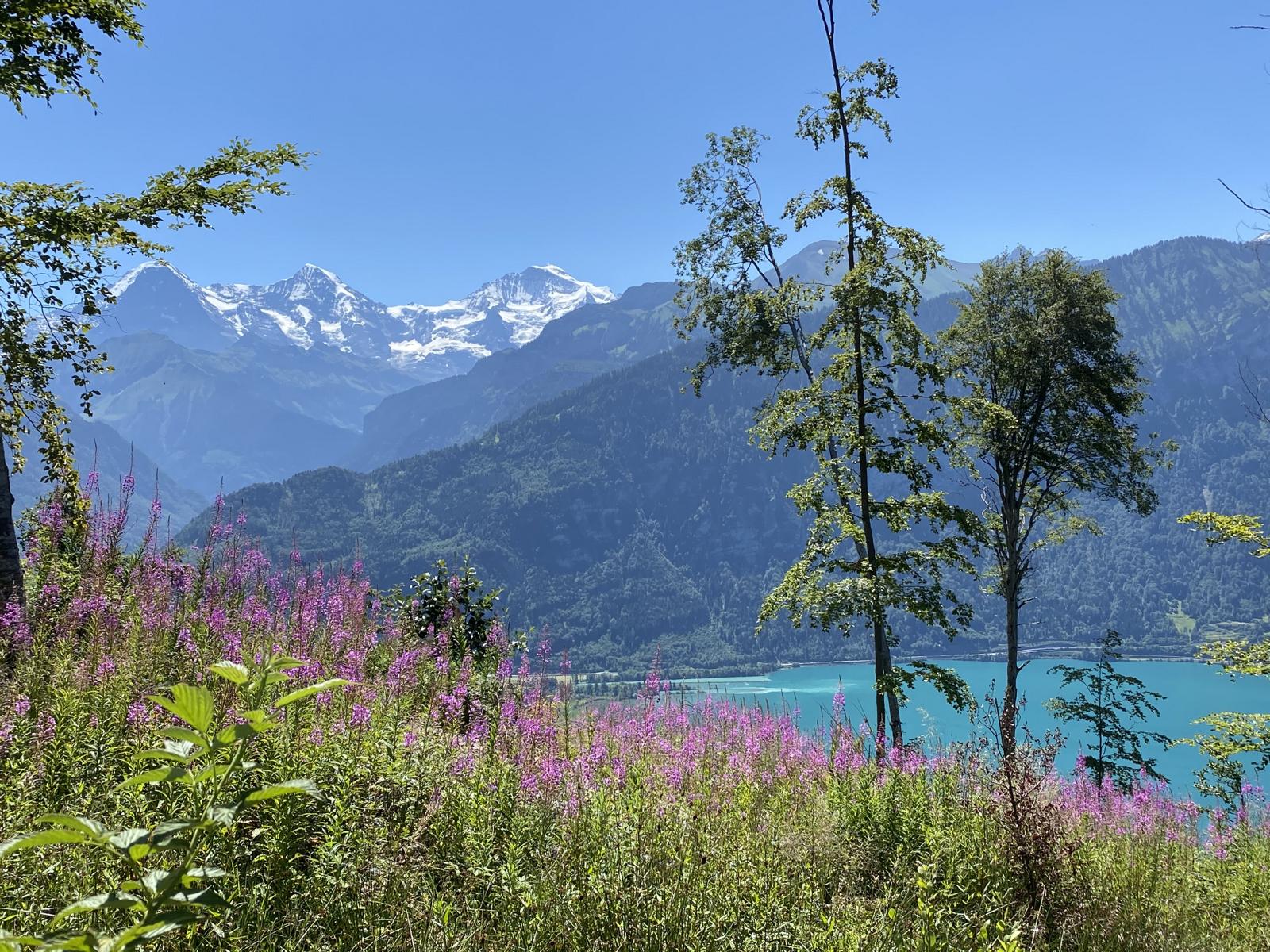 Alpensee mit Bergpanorama — Oase der Ewigkeit